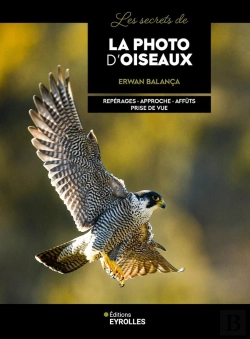 Bertrand.pt - Les Secrets De La Photo D'Oiseaux : Repérages, Approche, Affûts, Prise De Vue