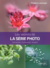 Les Secrets De La Série Photo ; Démarche, Cohérence, Impact