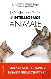 Les Secrets De L'Intelligence Animale