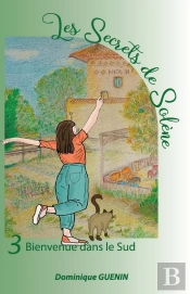 Les Secrets De Solène Tome 3 : Bienvenue Dans Le Sud