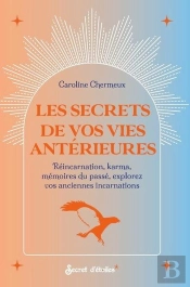 Les Secrets De Vos Vies Antérieures : Réincarnation, Karma, Mémoires Du Passé, Explorez Vos Anciennes Incarnations