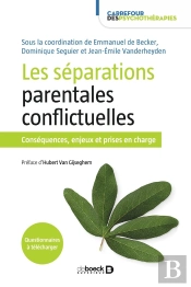Les Séparations Parentales Conflictuelles ; Conséquences Et Prises En Charge
