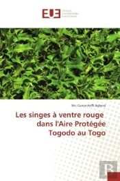 Les Singes A Ventre Rouge Dans L'Aire Protegee Togodo Au Togo