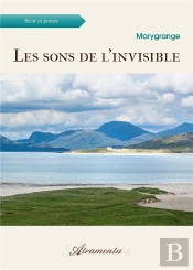Les Sons De L'Invisible