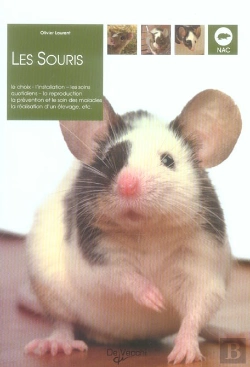 Bertrand.pt - Les Souris
