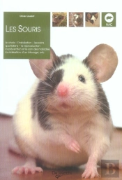 Les Souris