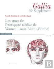 Les Stucs De L'Antiquité Tardive De Vouneuil-Sous-Bois (Vienne)