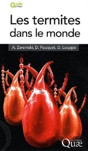 Les Termites Dans Le Monde