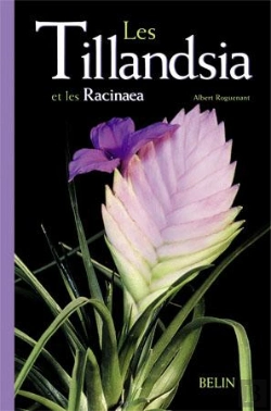 Bertrand.pt - Les Tillandsia Et Les Racinaea