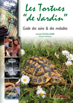 Bertrand.pt - Les Tortues 