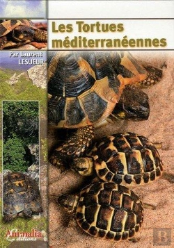 Bertrand.pt - Les Tortues Méditerranéennes