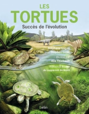 Les Tortues : Succès De L'Évolution