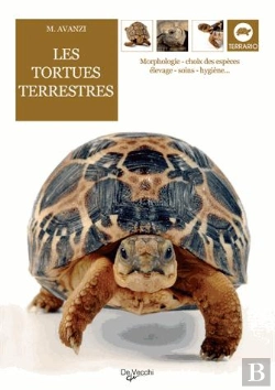Bertrand.pt - Les Tortues Terrestres