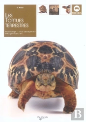 Les Tortues Terrestres