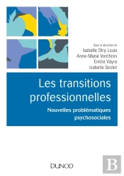 Les Transitions Professionnelles ; Concepts, Modèles Et Dispositifs