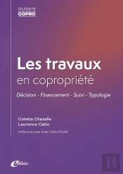 Les Travaux En Copropriété : Décision - Financement - Suivi - Typologie
