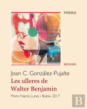 Les Ulleres De Walter Benjamin