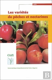 Les Variétés De Pêches Et Nectarines