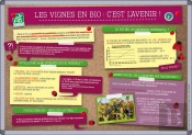 Les Vignes En Bio : C'Est L'Avenir !