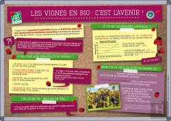 Bertrand.pt - Les Vignes En Bio : C'Est L'Avenir !