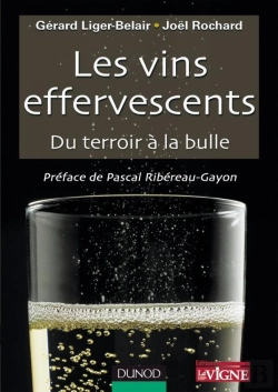 Bertrand.pt - Les Vins Effervescents ; Du Terroir À La Bulle