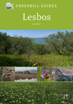 Bertrand.pt - Lesbos