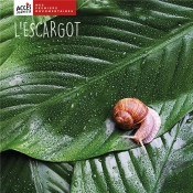 L'Escargot
