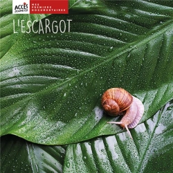 Bertrand.pt - L'Escargot