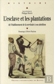 L'Esclave Et Les Plantations ; De L'Établissement De La Servitude À Son Abolition