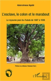 L'Esclave, Le Colon Et Le Marabout ; Le Royaume Perdu Du Fuladu De 1867 À 1936