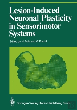 Bertrand.pt - Lesion-Induced Neuronal Plasticity In Sensorimotor Systems