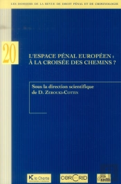 L'Espace Penal Europeen : A La Croisee Des Chemins
