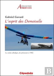 L'Esprit Des Demoiselle ; Les Avions Ultralégers, Des Précurseurs À 1982