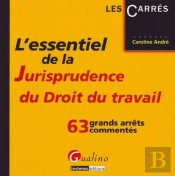 L'Essentiel De La Jurisprudence Du Droit Du Travail