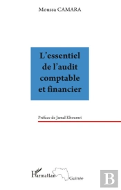L'Essentiel De L'Audit Comptable Et Financier