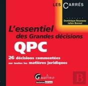 L'Essentiel Des Grandes Décisions De La Qpc