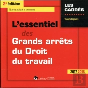 L'Essentiel Des Grands Arrêts Du Droit Du Travail (Édition 2017/2018)
