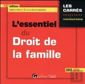 L'Essentiel Du Droit De La Famille 16eme Edition