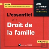 L'Essentiel Du Droit De La Famille - 17eme Edition