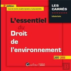 Bertrand.pt - L'Essentiel Du Droit De L'Environnement 9eme Edition