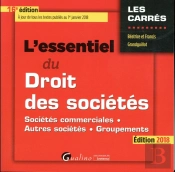 L'Essentiel Du Droit Des Sociétés (16e Édition)