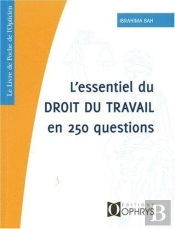 L'Essentiel Du Droit Du Travail En 250 Questions