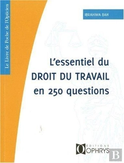 Bertrand.pt - L'Essentiel Du Droit Du Travail En 250 Questions
