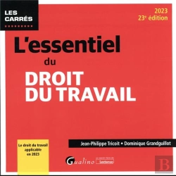 Bertrand.pt - L'Essentiel Du Droit Du Travail : Le Droit Du Travail Applicable En 2023 (23e Édition)