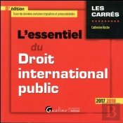 L'Essentiel Du Droit International Public 8eme Edition