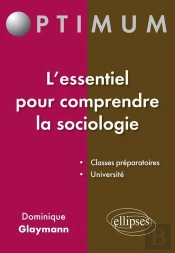 L'Essentiel Pour Comprendre La Sociologie