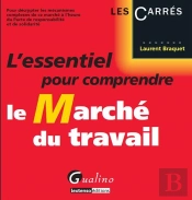 L'Essentiel Pour Comprendre Le Marche Du Travail