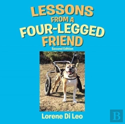 Bertrand.pt - Lessons From A Four-Legged Friend
