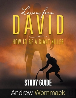 Bertrand.pt - Lessons From David Study Guide