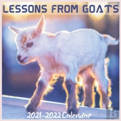 Bertrand.pt - Lessons From Goats Calendar 2021-2022